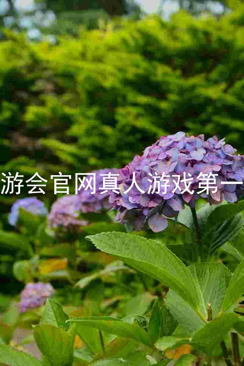 j9九游会官网真人游戏第一品牌